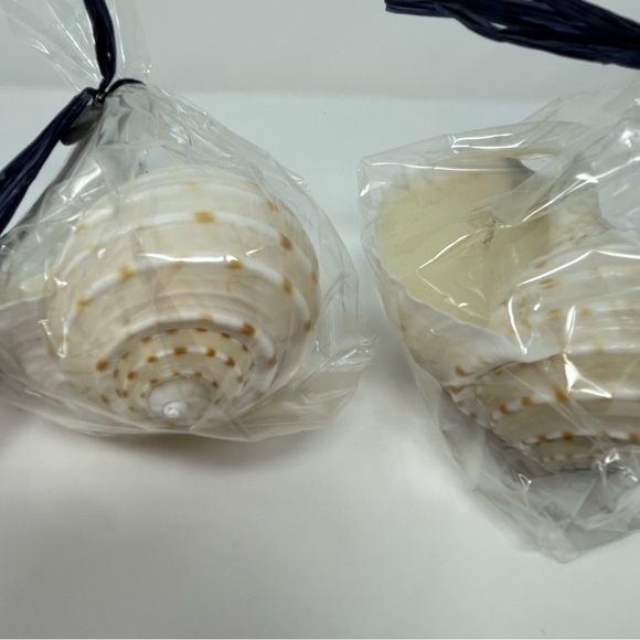 Tonna Shell Candles - Picture 7 of 7